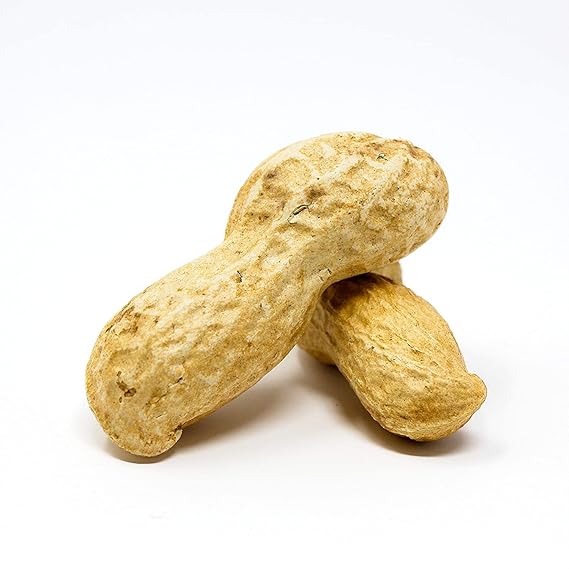 Roasted Peanuts