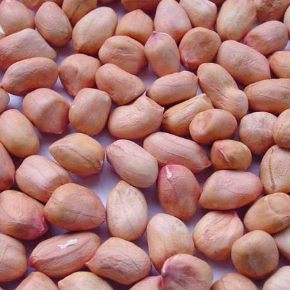 Unshelled Peanuts